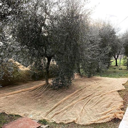 Il Quartierino Lucignano Bagian luar foto